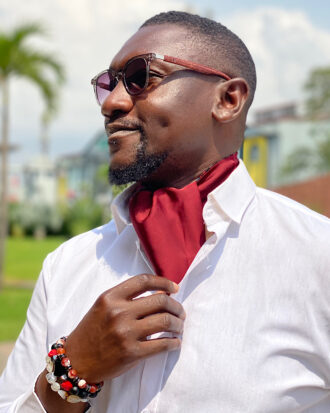 Ascot tie cravat Wine